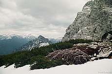 totes_gebirge_2004_38.JPG