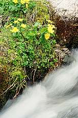 totes_gebirge_2004_48.JPG