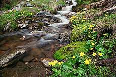 totes_gebirge_2004_50.JPG