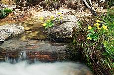 totes_gebirge_2004_51.JPG
