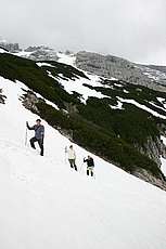 alpy2004_b049.jpg