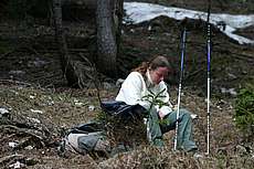 alpy2004_b116.jpg
