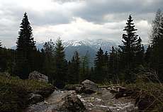 alpy2004_b133.jpg